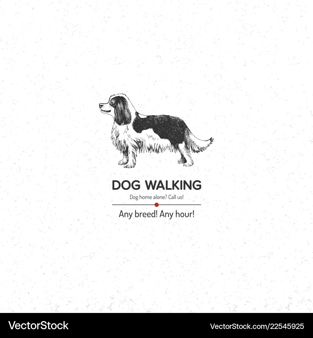 Background with king charles spaniel for dog Vector Image