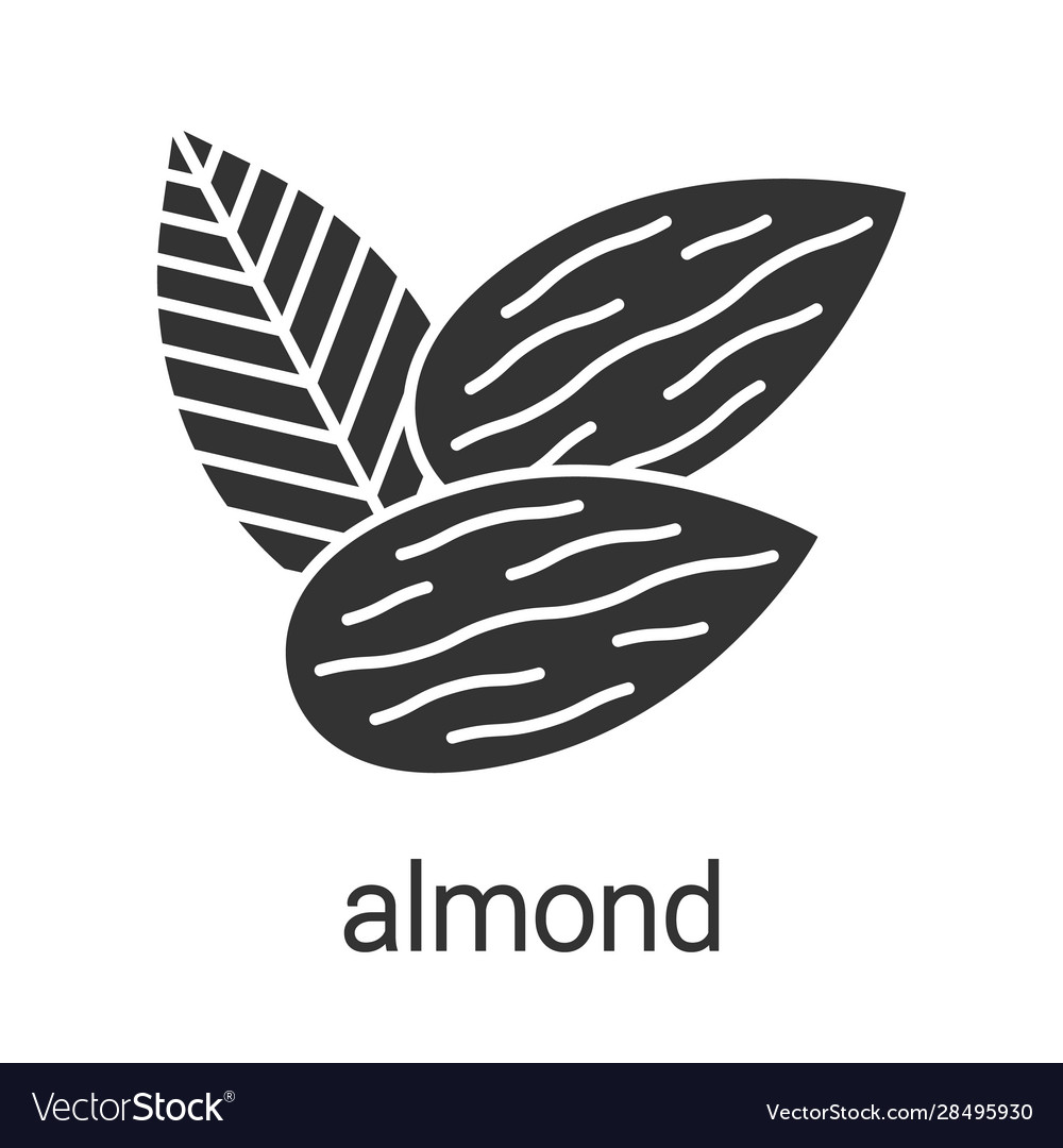 Almond glyph icon