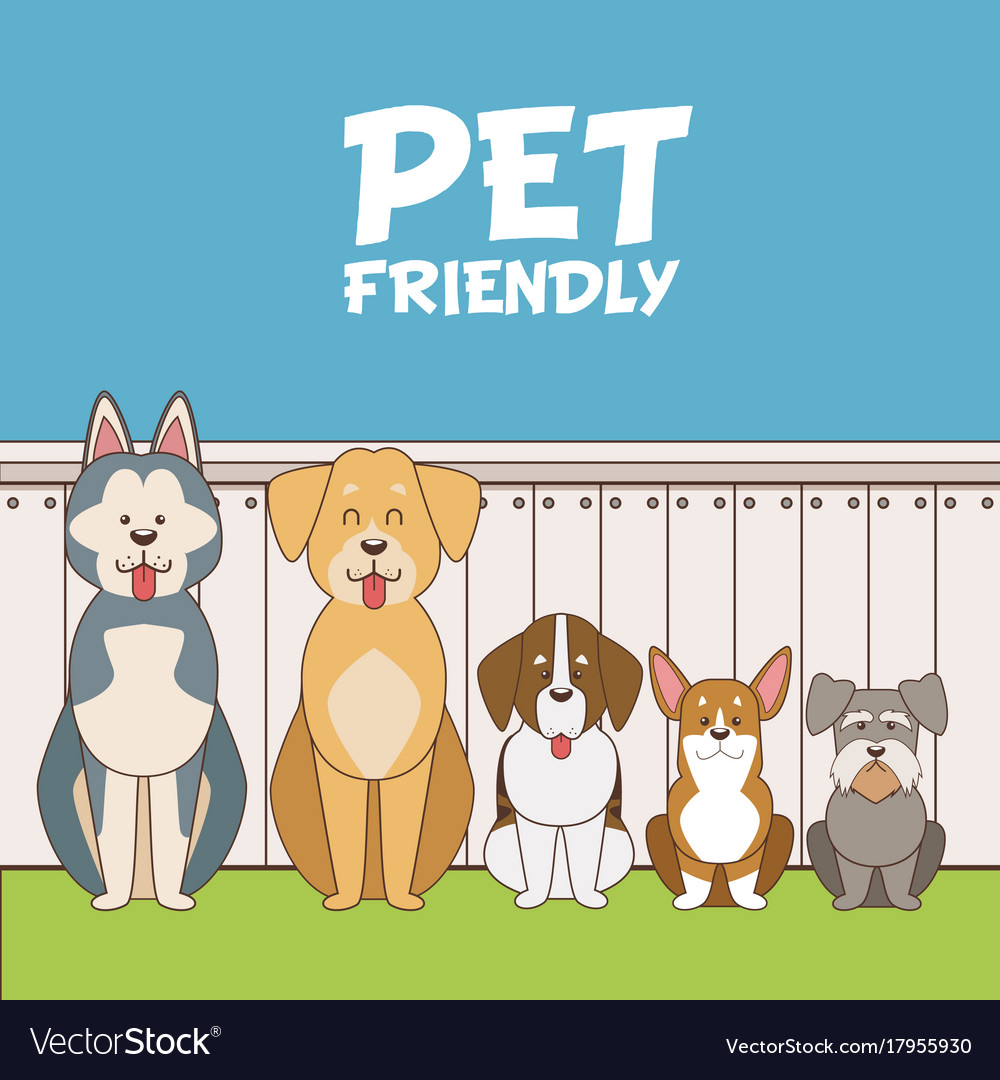 Pet friendly cartoon