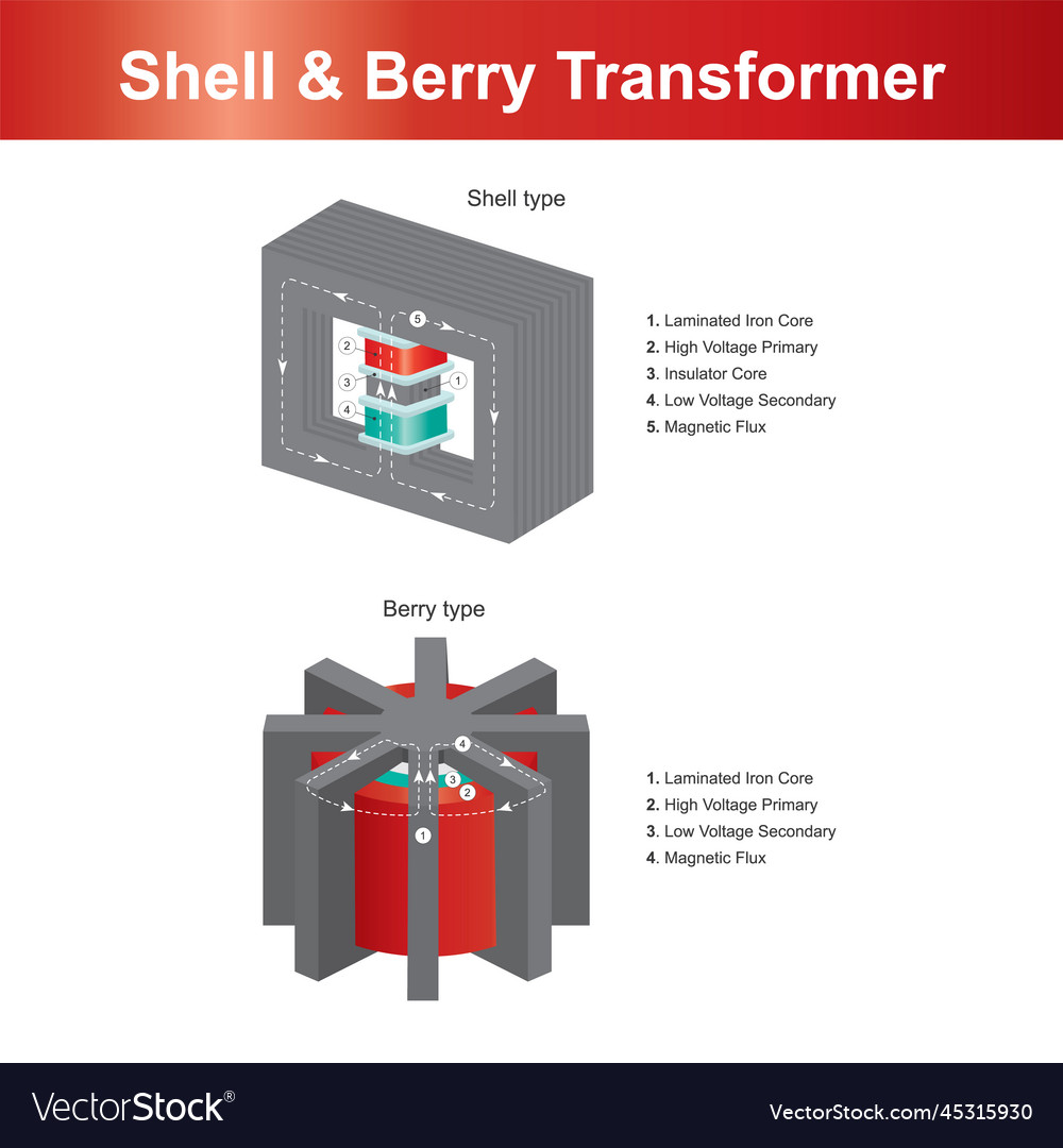 Shell amp berry transformer explain vector image Shell amp berry transformer explain