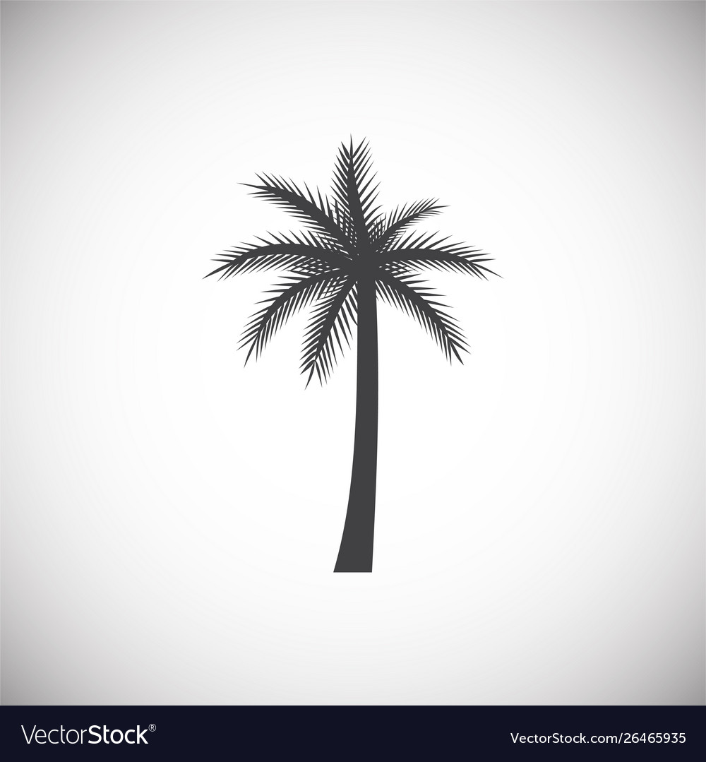 Palm tree icon on background for graphic and web vector image Palm tree icon on background for graphic and web