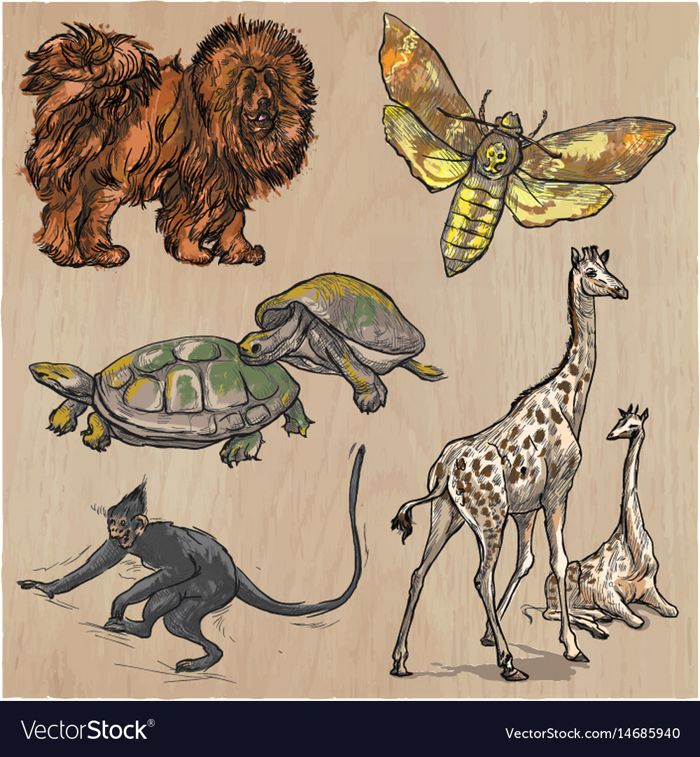 An hand drawn collection pack of animals