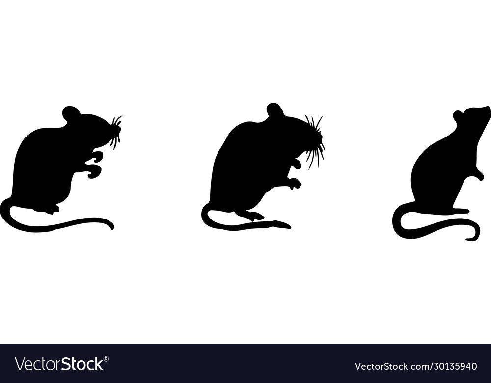 Rat icon isolated on background