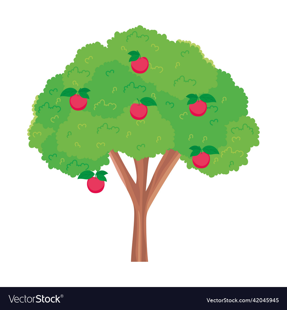 Apple tree icon Royalty Free Vector Image - VectorStock