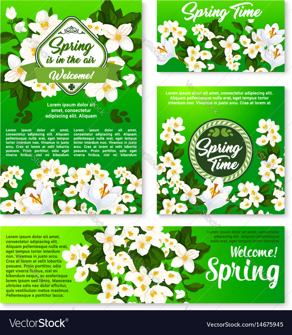 spring floral template for card and banner design vector image