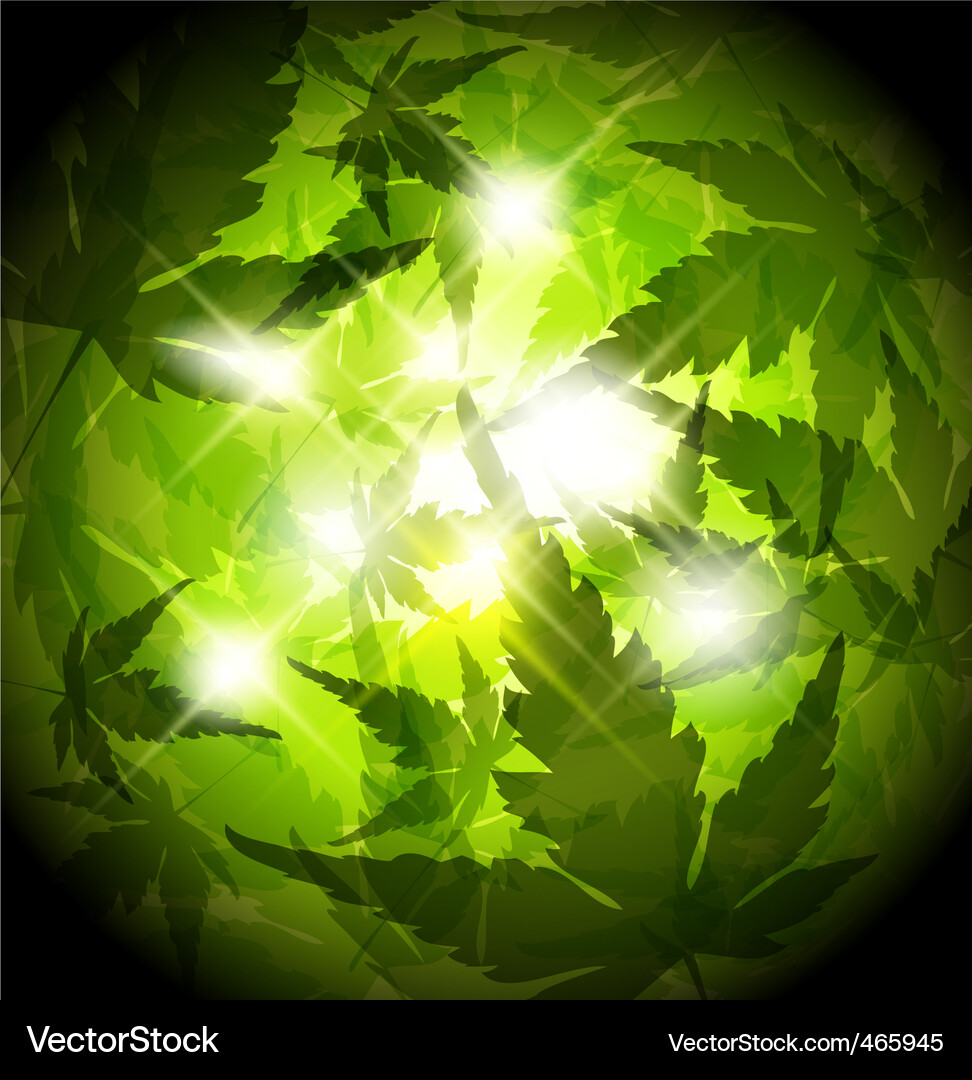 Spring leaves Royalty Free Vector Image - VectorStock