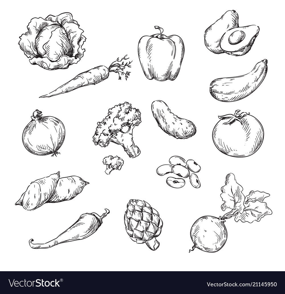 Drawing various vegetables Royalty Free Vector Image