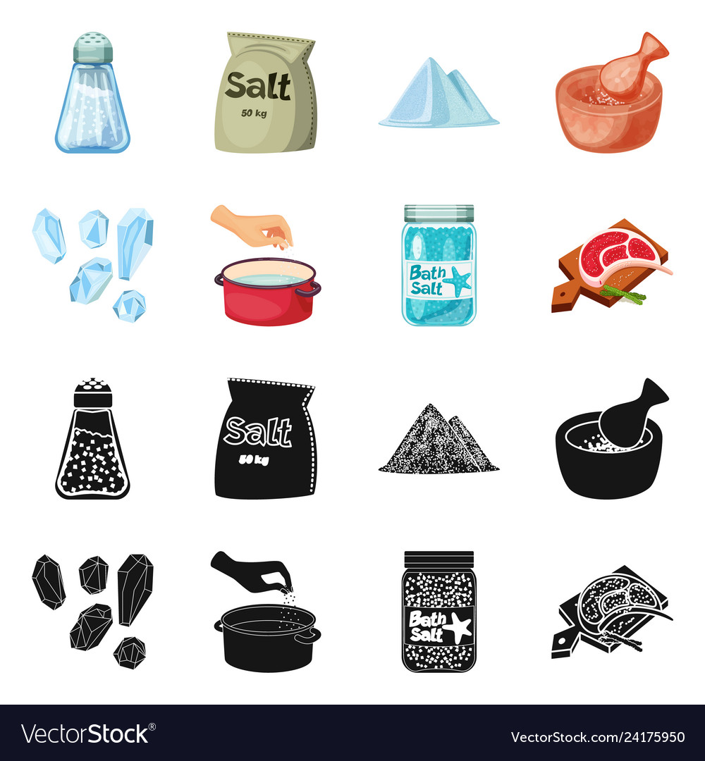 Isolated object of cooking and sea logo set