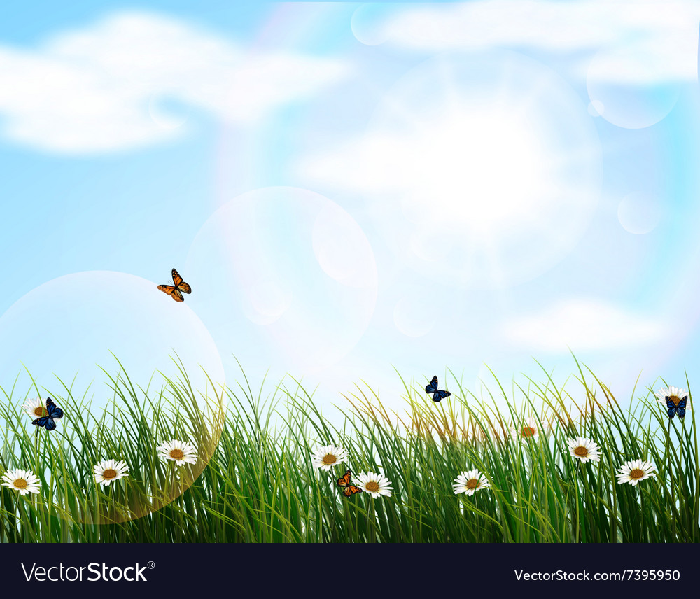 Premium Vector  Nature background vector