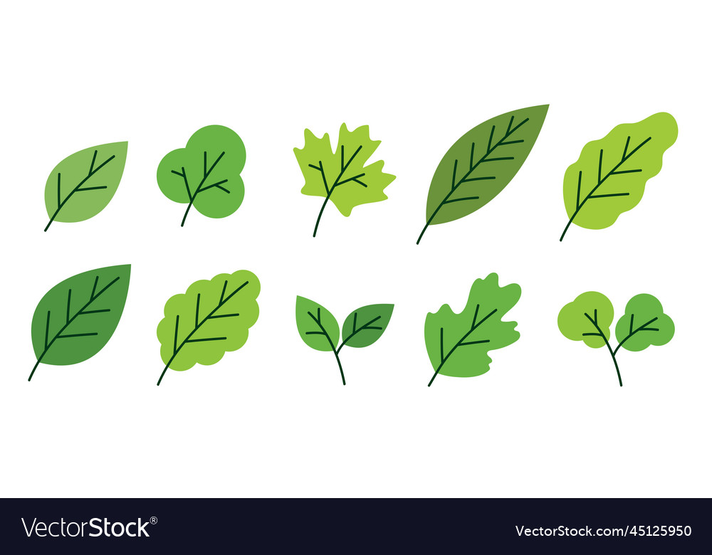 Simple green leaves elements Royalty Free Vector Image