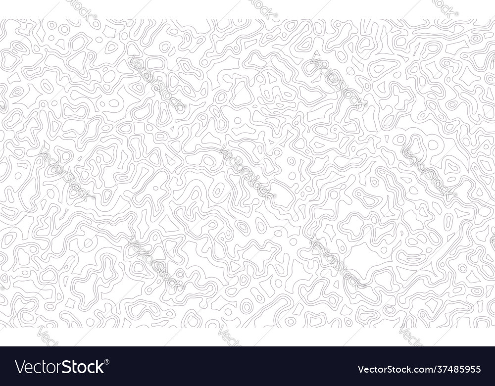 Abstract background in light gray concentric lines Vector Image Abstract background in light gray concentric lines