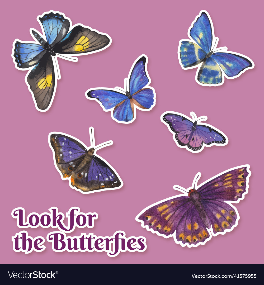 Sticker Vorlage mit lila und blau Schmetterling