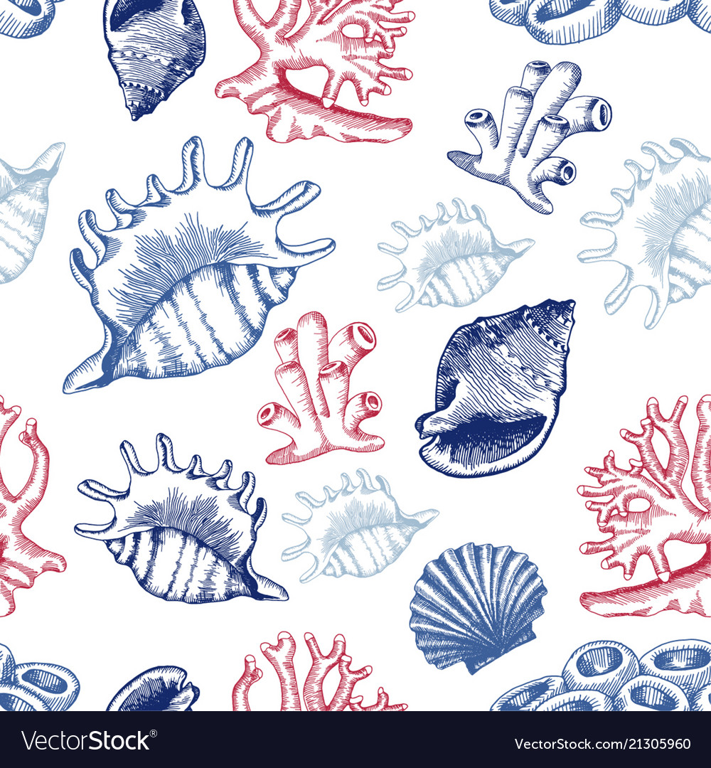 Seamless pattern with shells and corals sketch