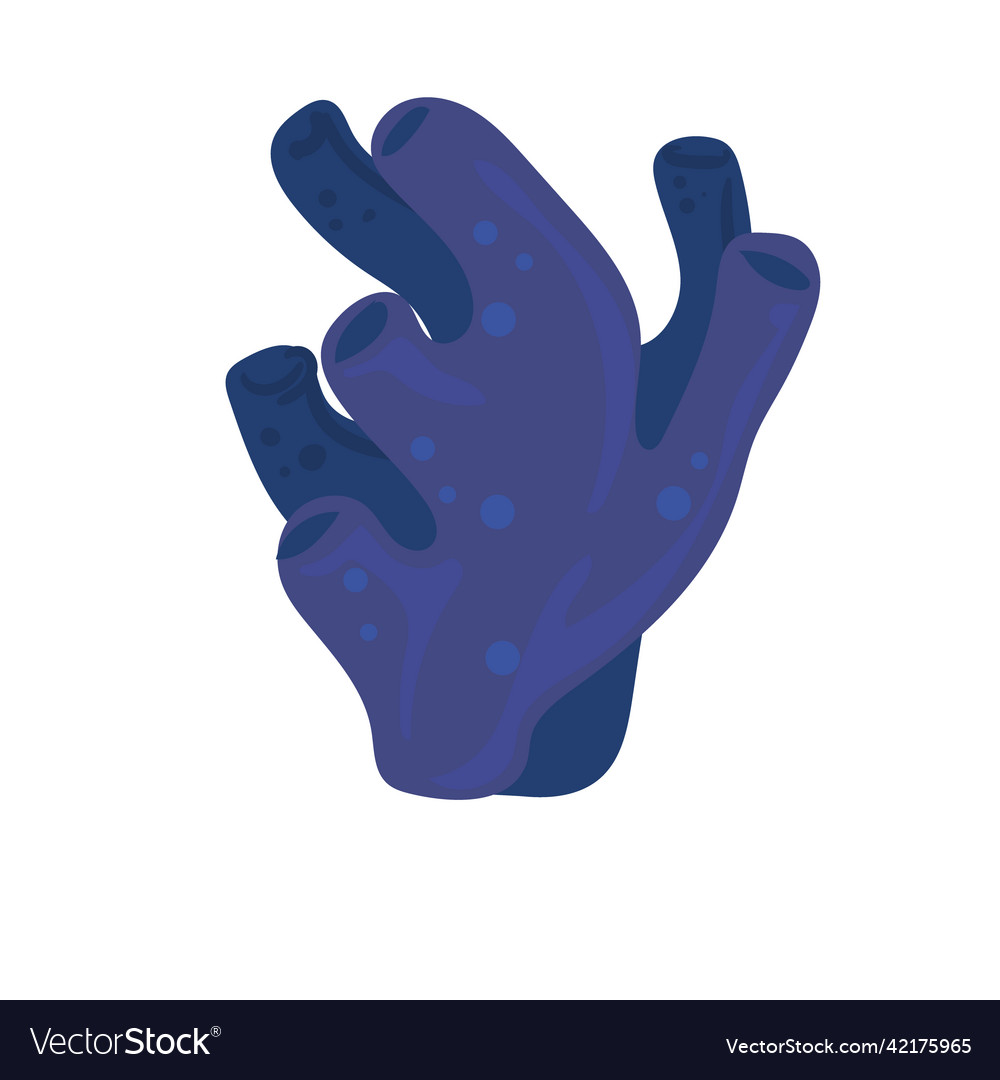 Blue coral design Royalty Free Vector Image - VectorStock