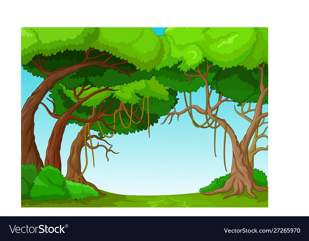 Cool forest landscape cartoon