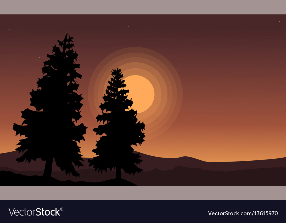 Silhouette of tree spruce scenery Royalty Free Vector Image