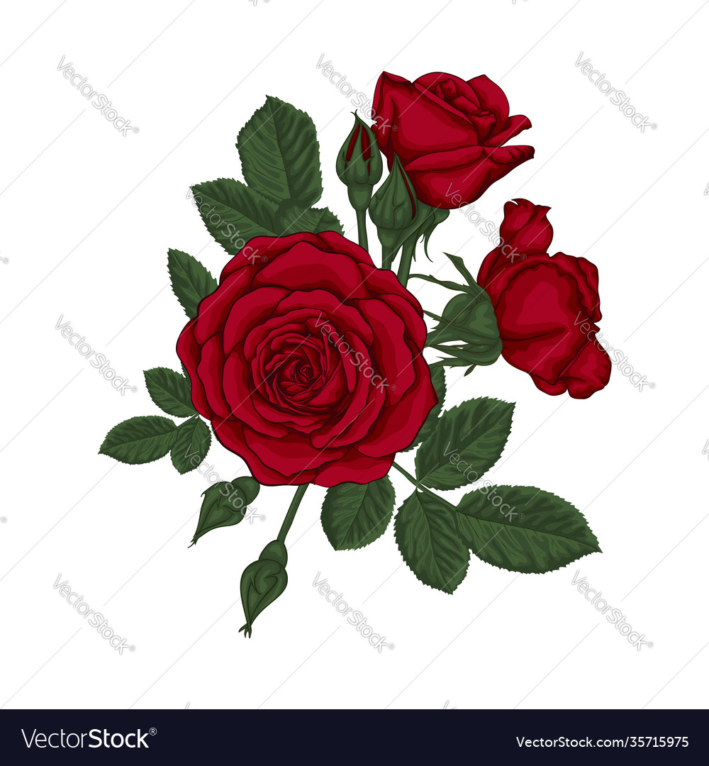 Beautiful bouquet with red roses and leaves