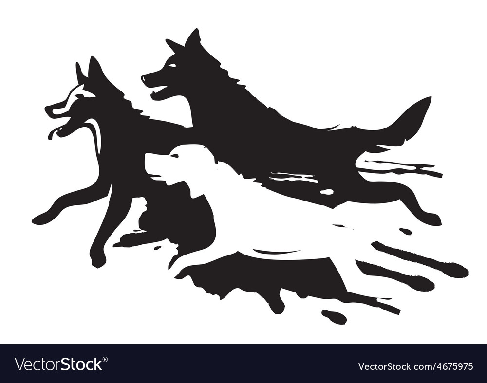 Energetic Running Dogs