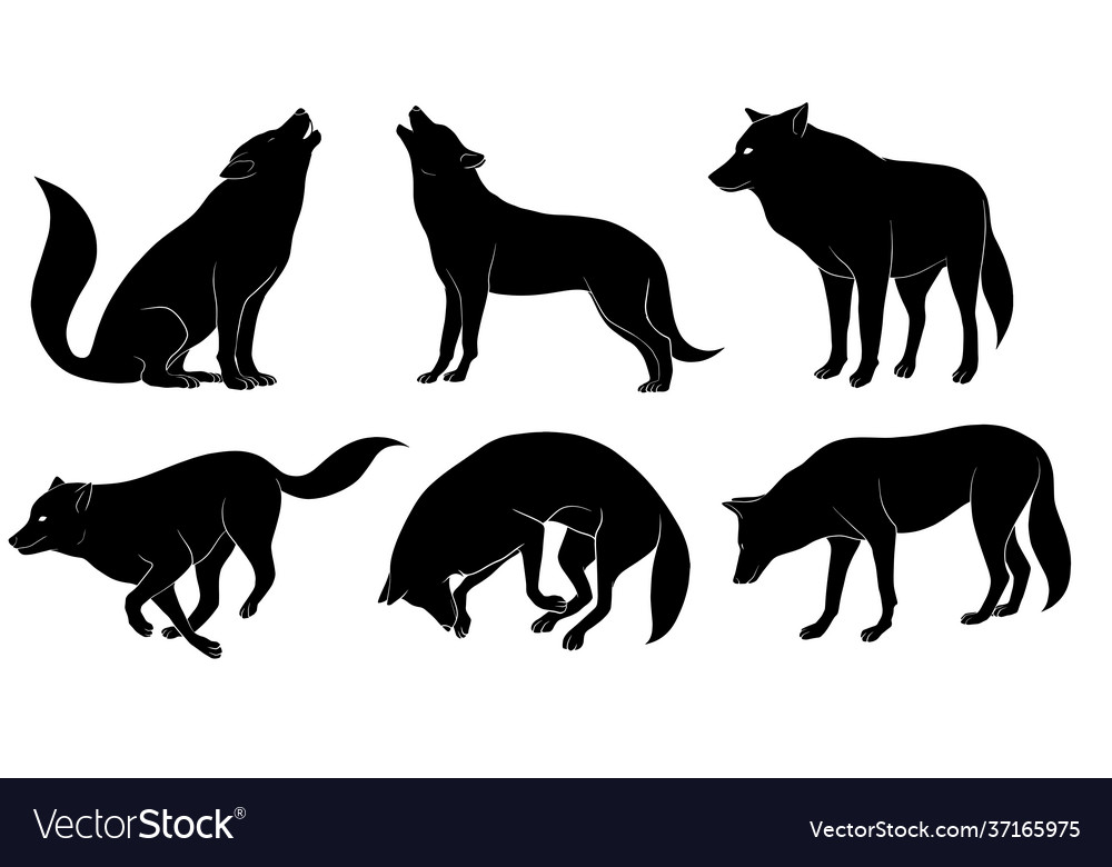 Hand drawn silhouette wolf