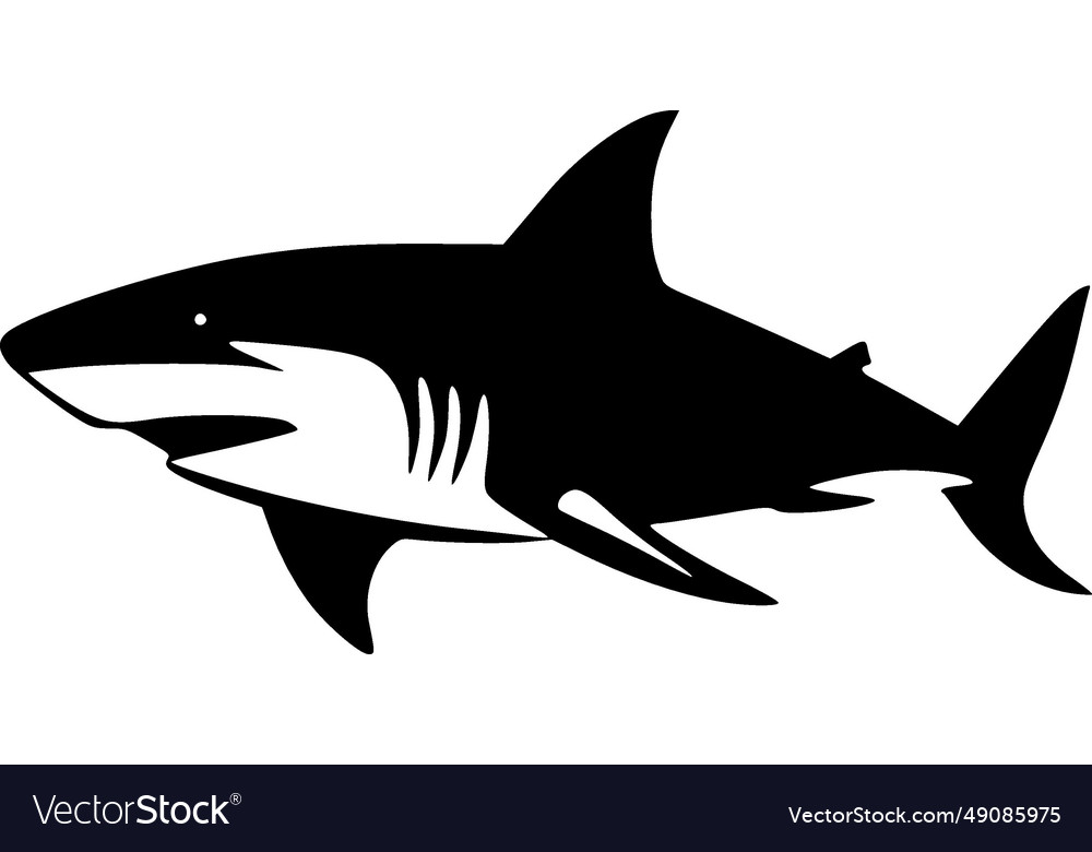 Shark - black and white