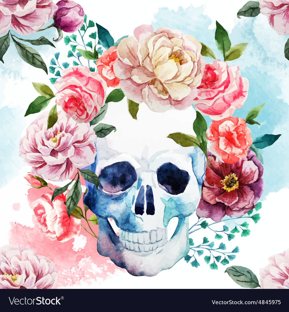 Watercolor skull Royalty Free Vector Image - VectorStock