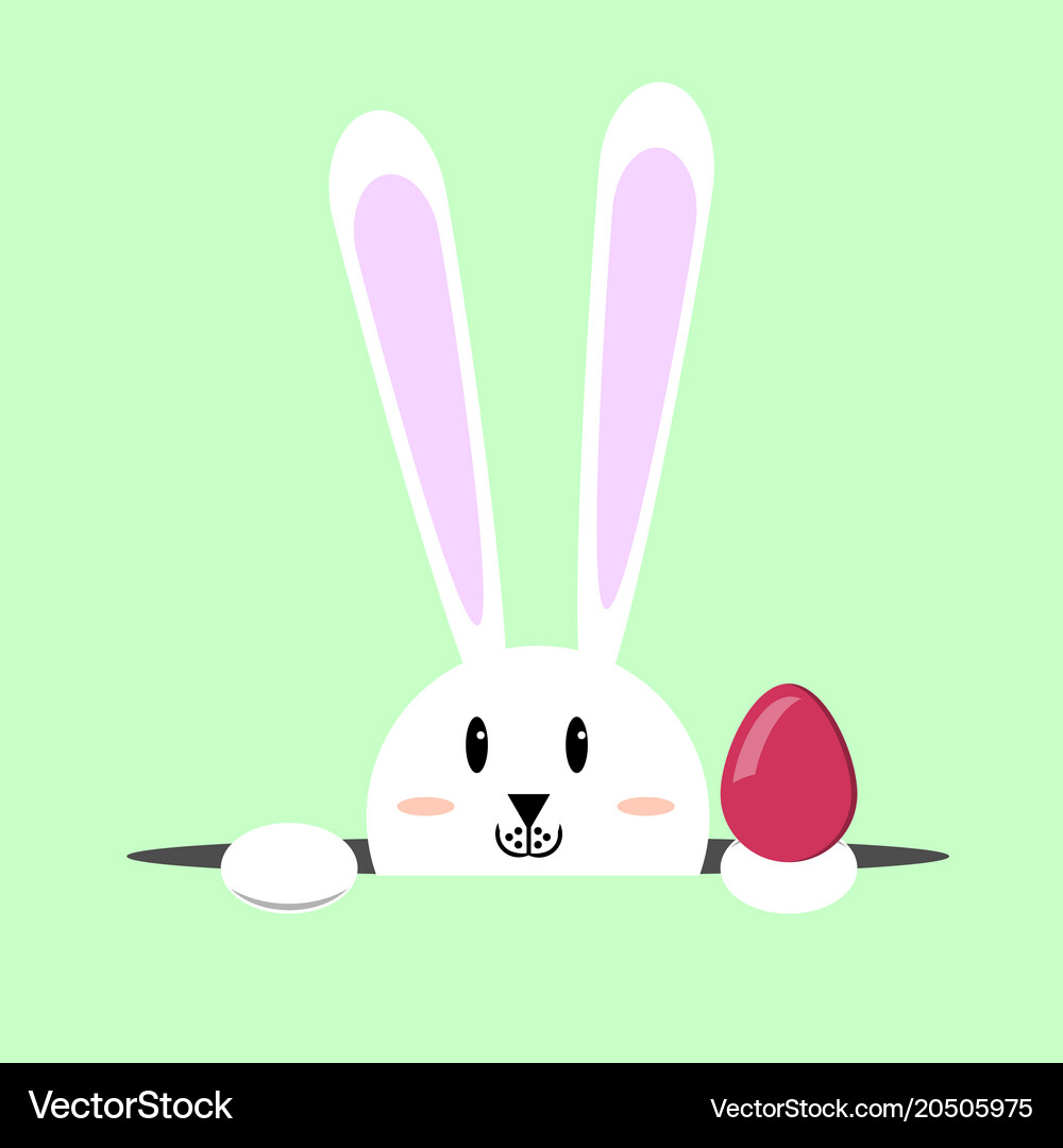 White easter rabbit bunny Royalty Free Vector Image