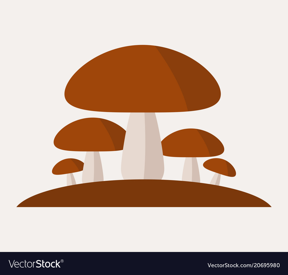 Detailed Mushroom Icon Set