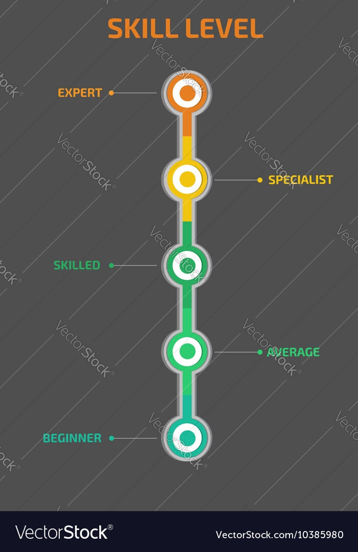 skill-levels-royalty-free-vector-image-vectorstock