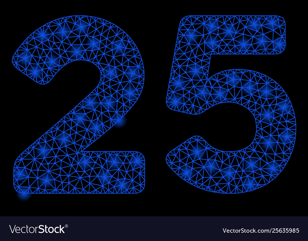 Bright mesh carcass 25 digits text with light Vector Image Bright mesh carcass 25 digits text with light
