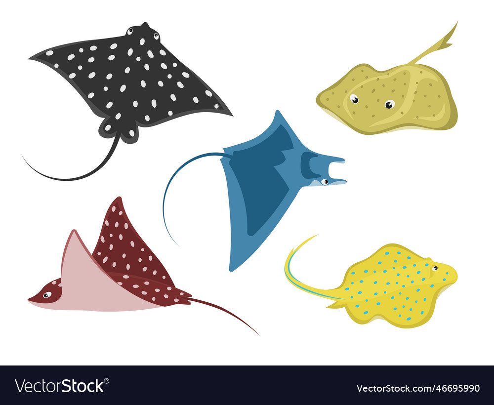 Cute stingray cartoon characters vector image Cute stingray cartoon characters