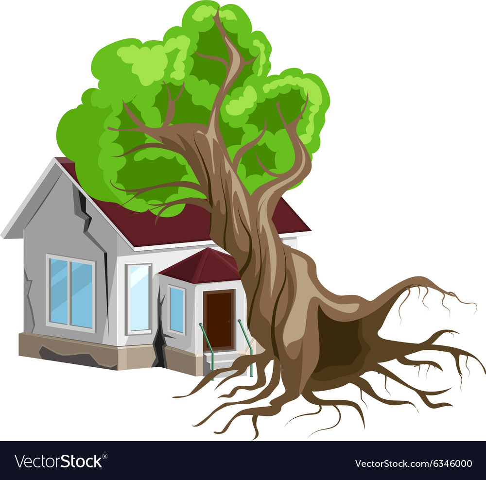 House destroyed Tree fell on house Cracks in Vector Image