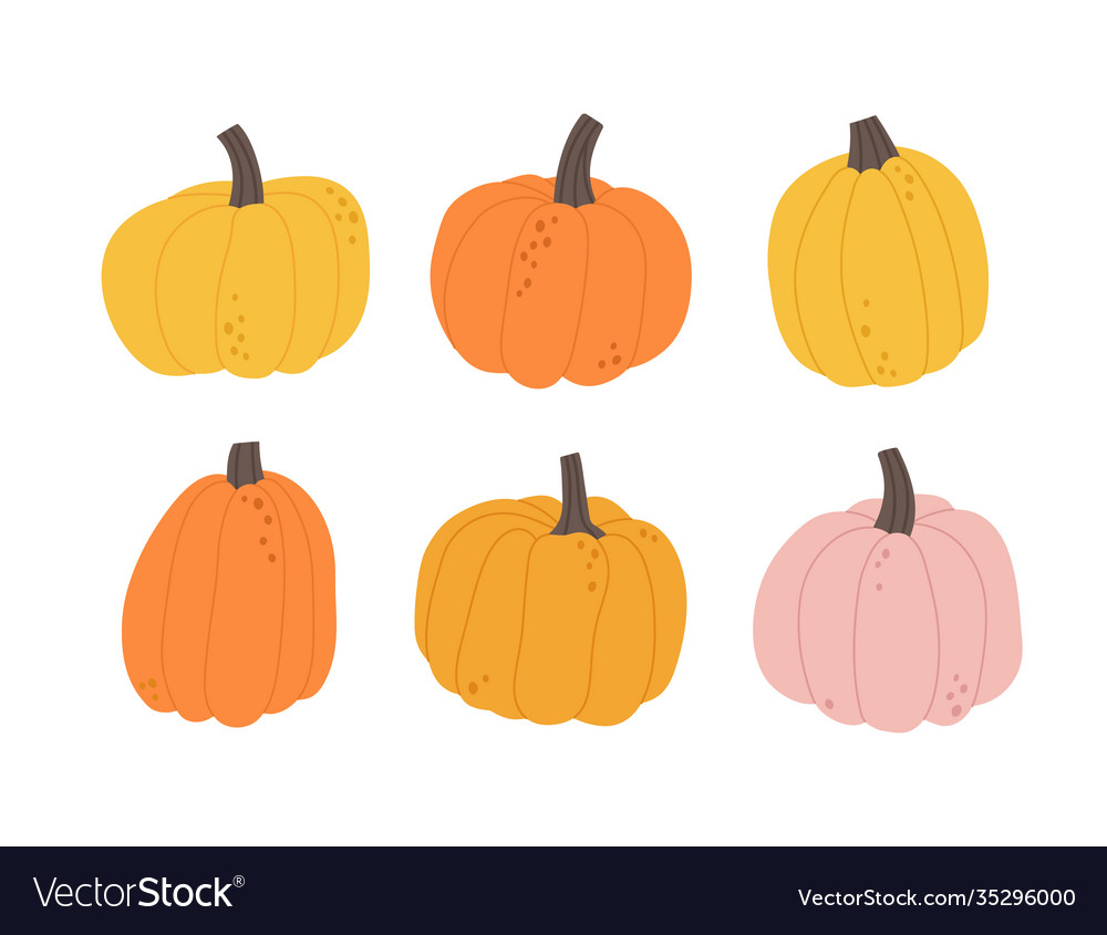 Pumpkin in different colors