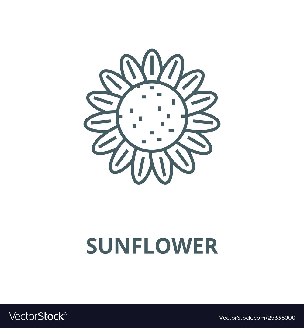 Sunflower line icon linear concept Royalty Free Vector Image