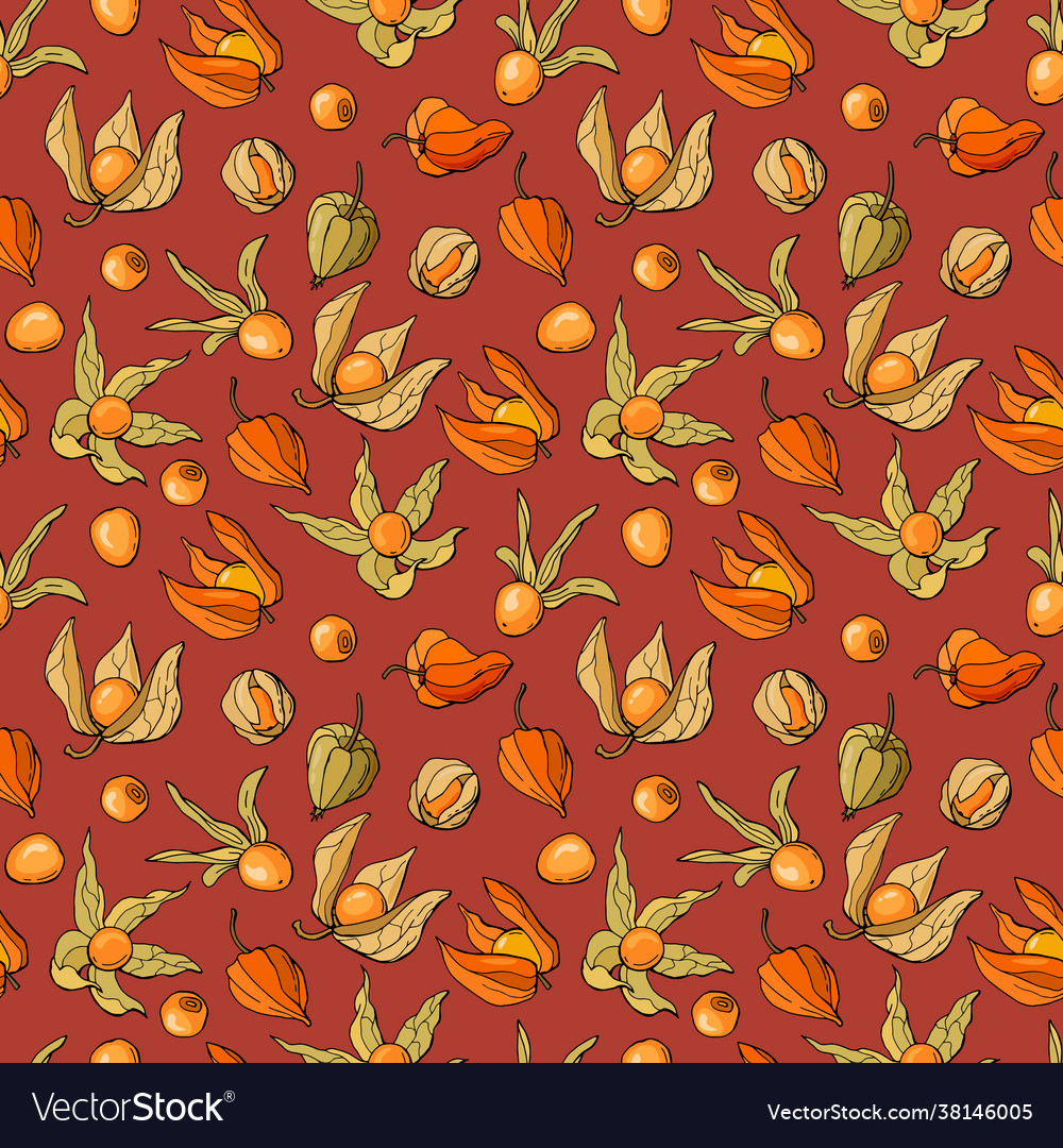 Hand-drawn seamless pattern with physalis berries