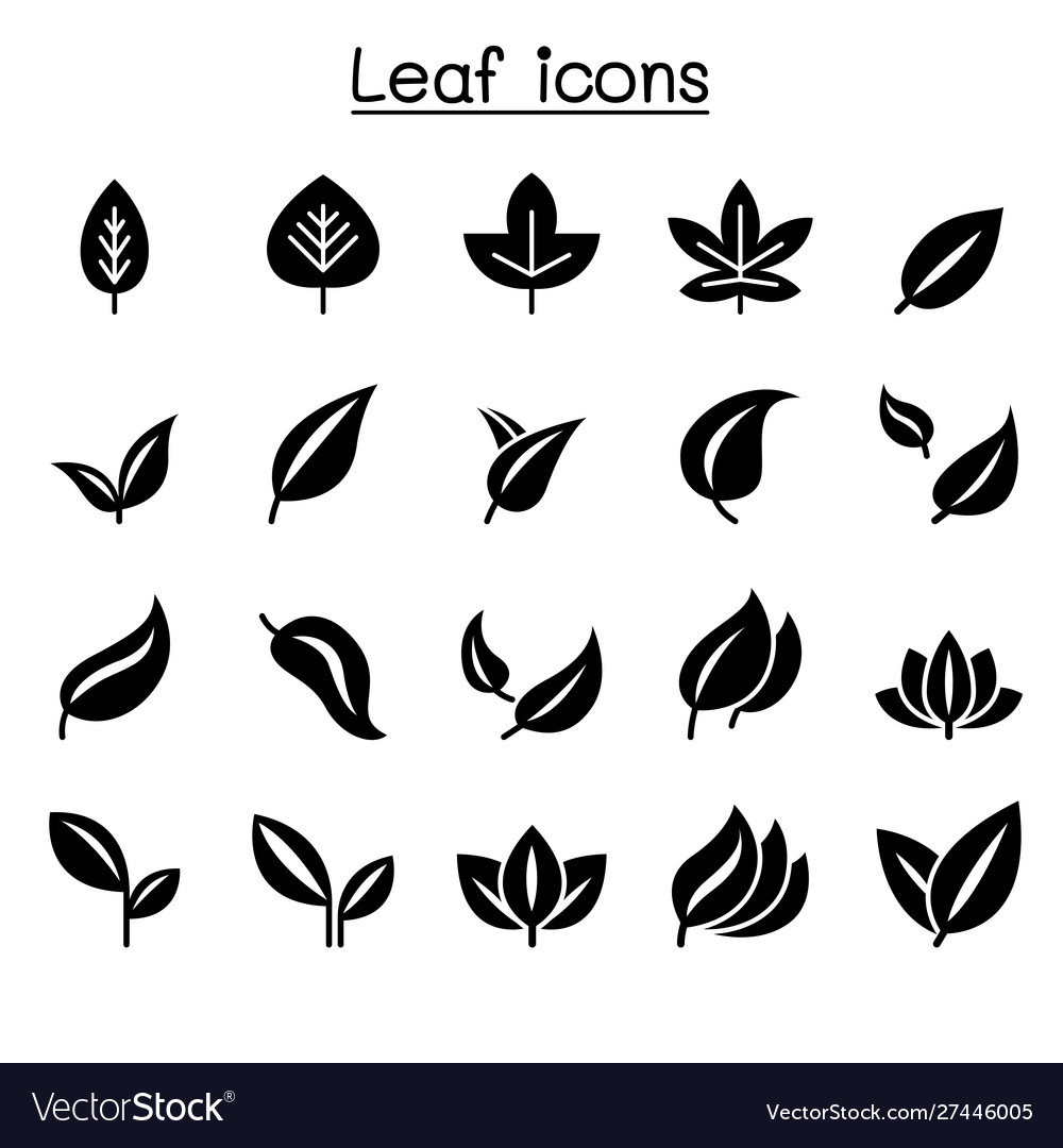 Leaf icon set graphic design Royalty Free Vector Image