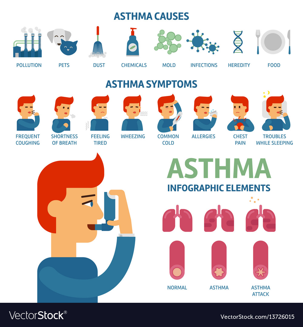 Asthma symptoms and causes infographic elements Vector Image