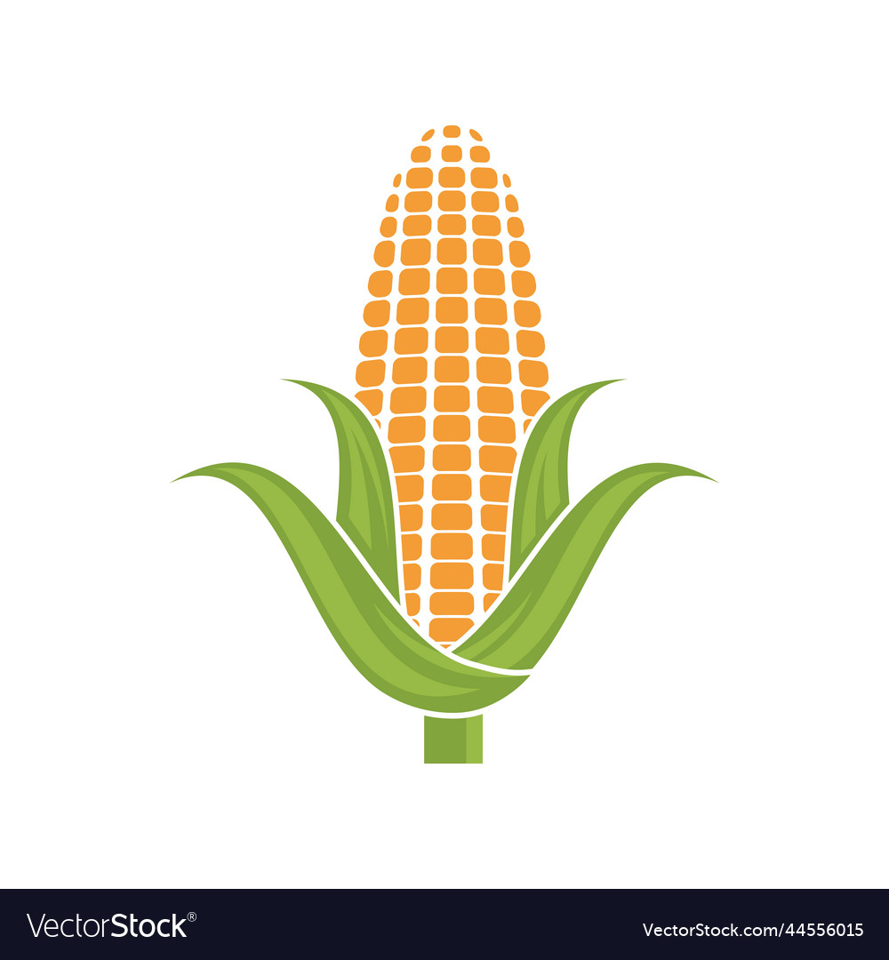 Corn logo Royalty Free Vector Image - VectorStock