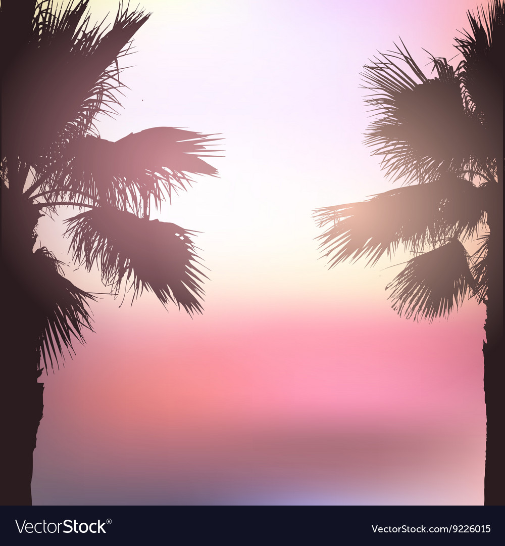 Retro styled palm tree background Royalty Free Vector Image