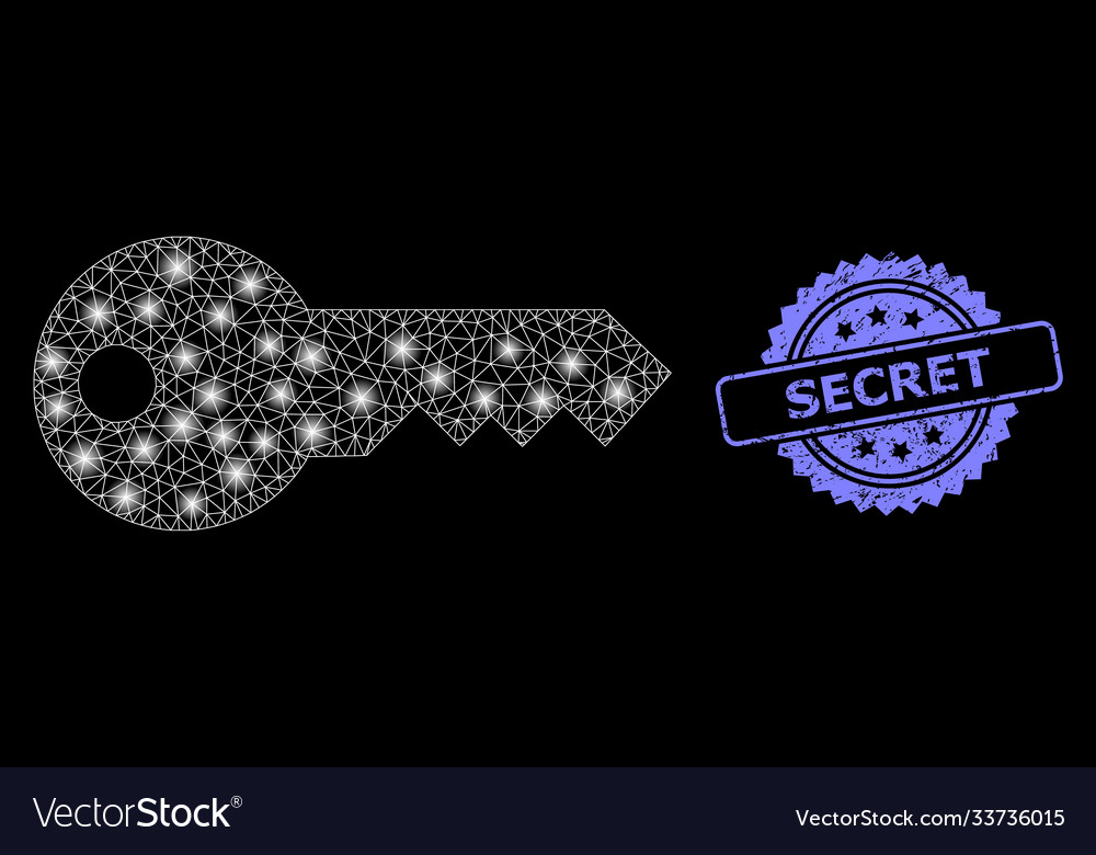 Textured secret stamp and bright web net key vector image Textured secret stamp and bright web net key
