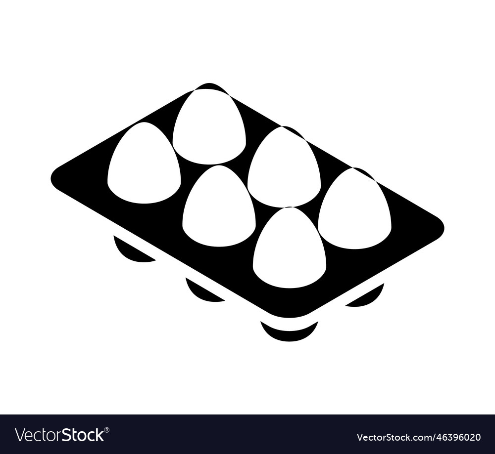 Egg carton isolated pack eggs container