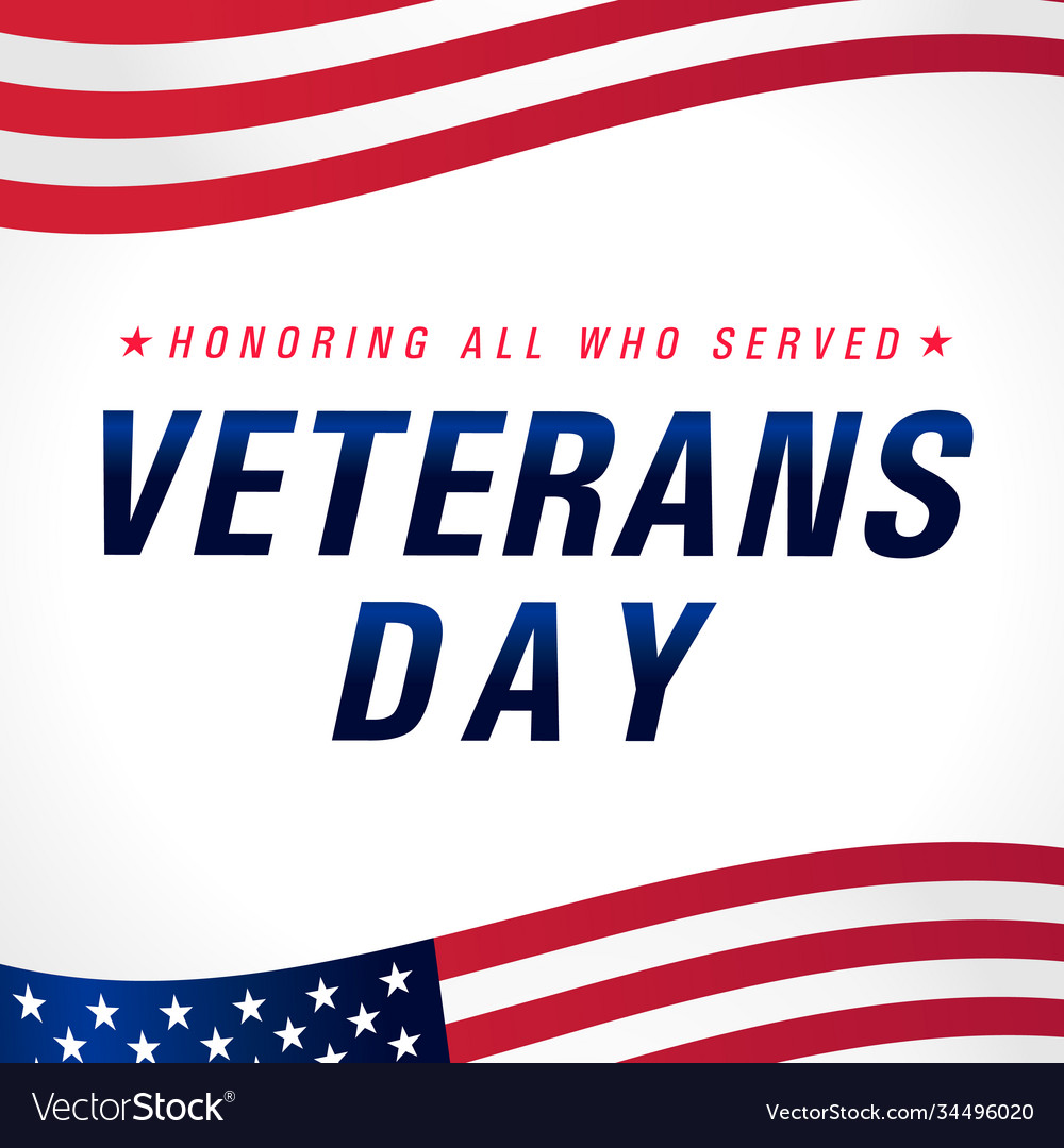 Veterans day november 11 usa flag banner Vector Image