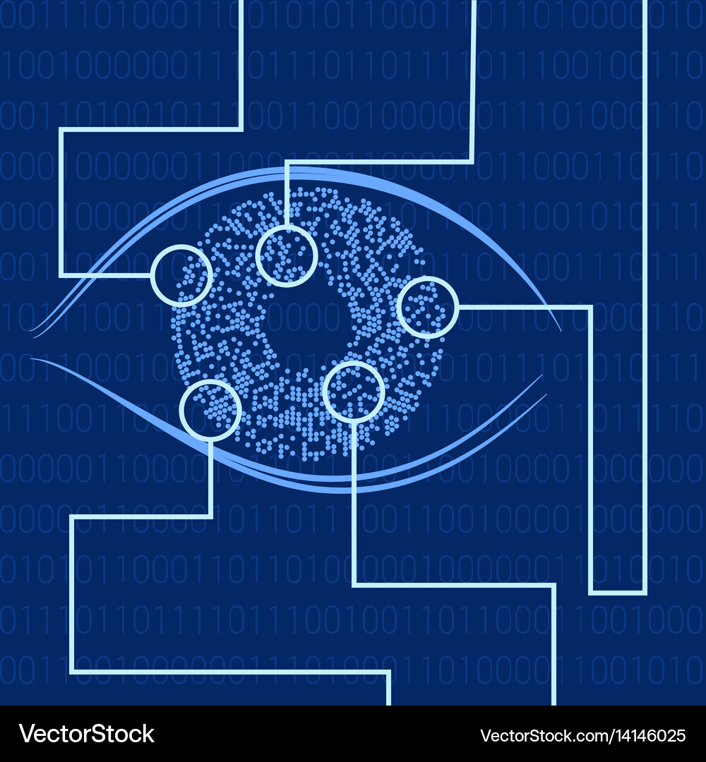 Iris recognition biometric identification Vector Image