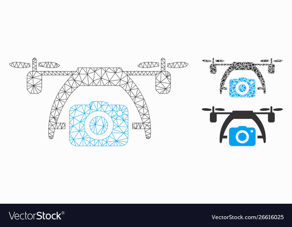 Photo drone mesh 2d model and triangle