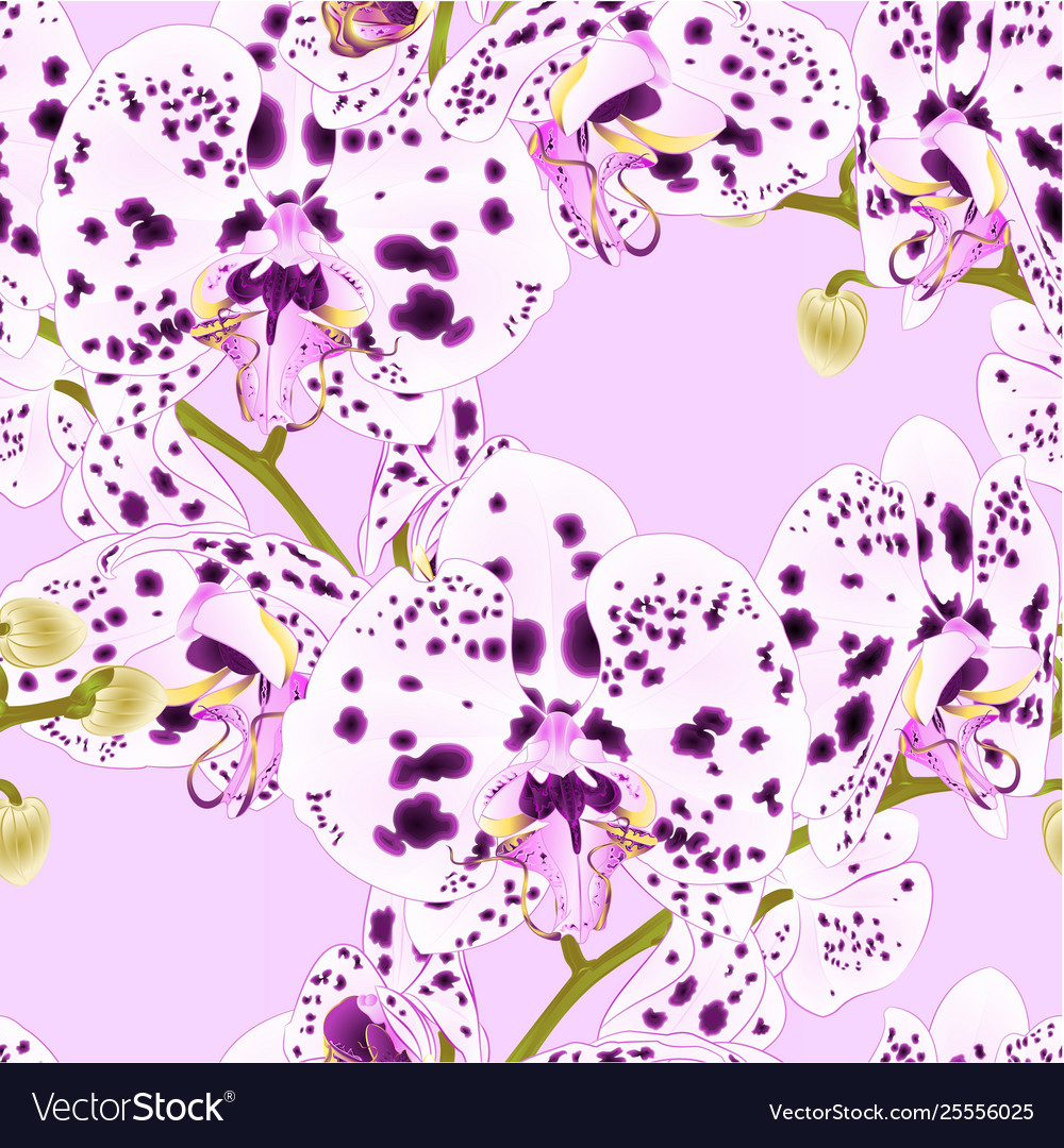Seamless texture branch orchids with dots Vector Image Seamless texture branch orchids with dots