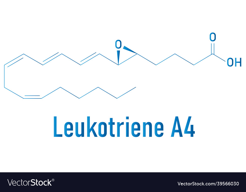 Leukotriene a4 lta4 molecule skeletal formula Vector Image