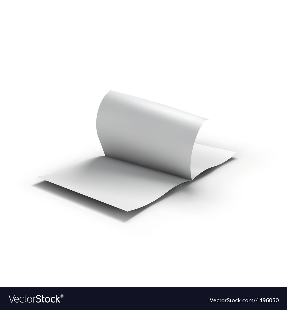 white blank magazine spread business mockup vector image