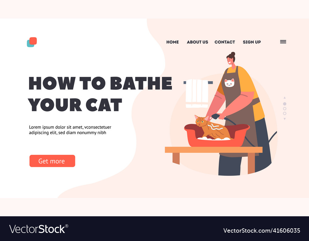 How to bathe your cat landing page template