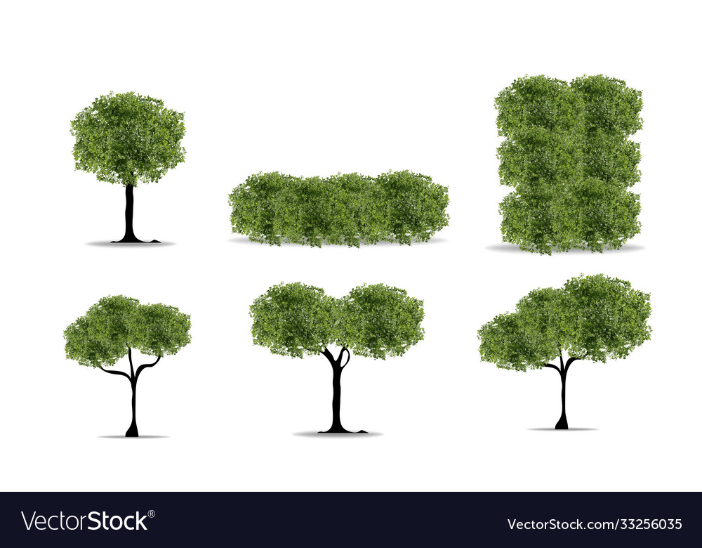 Realistic tree on white background eps10 Vector Image