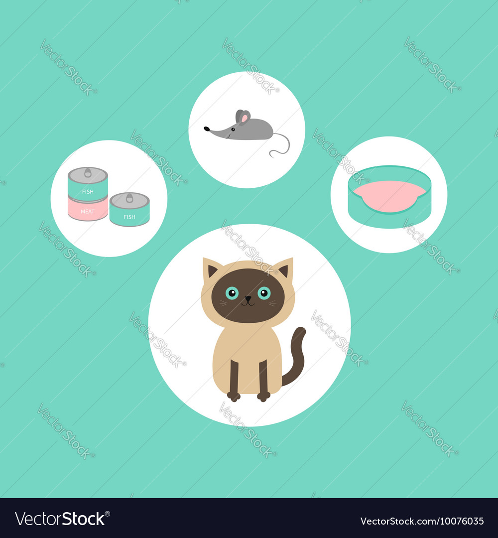 Siamese cat round circle icon set in shape of paw