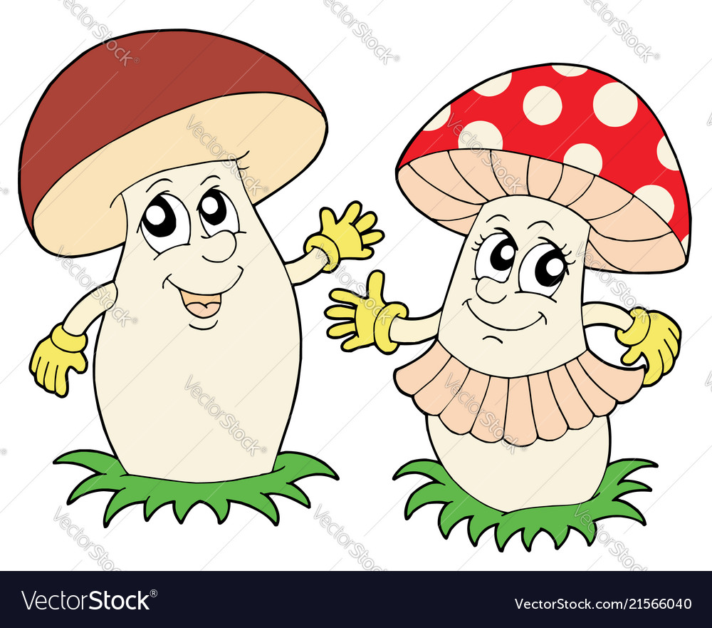 Mushroom and toadstool Royalty Free Vector Image